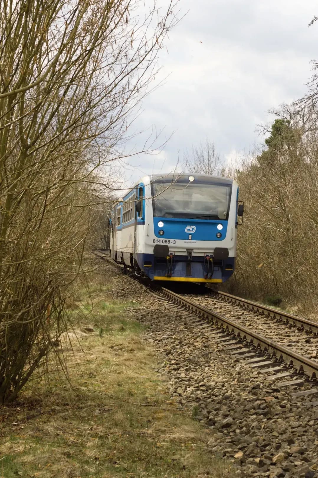 Northbridge Regional Services